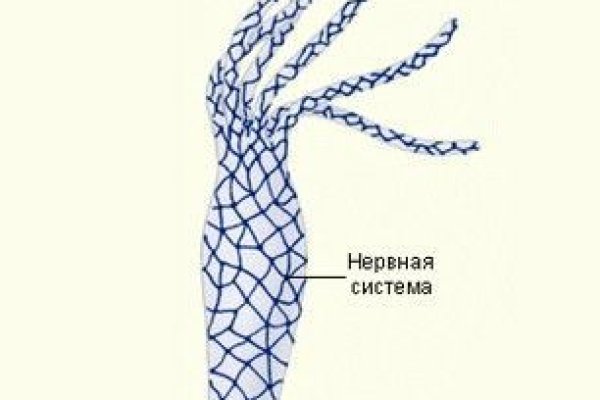 Почему не работает сайт кракен