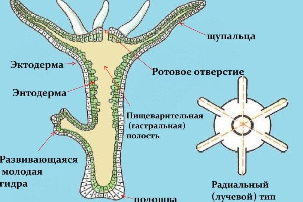 Кракен зайти