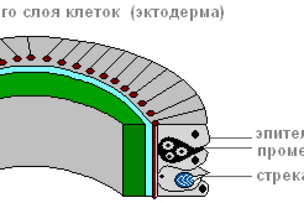 Как восстановить аккаунт кракен