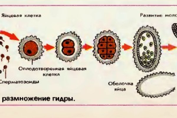 Главная страница кракен
