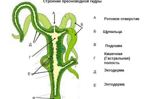 Kraken рабочая ссылка 2025
