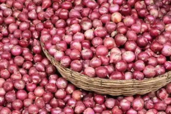 Кракен актуальная ссылка тор