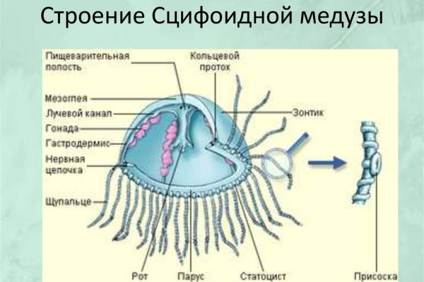 Рабочий сайт kraken