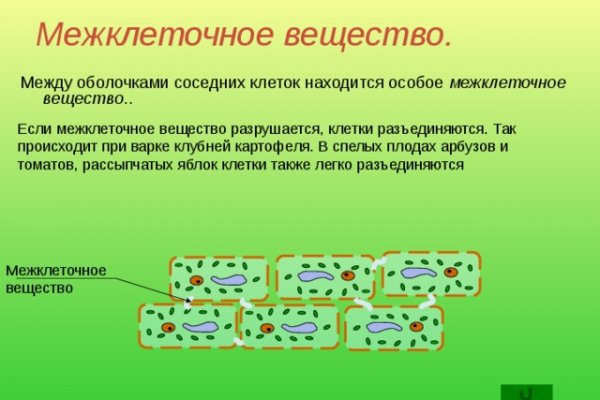 Kraken ссылка актуальная
