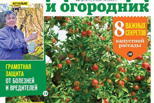 Kraken onion ссылка